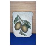7x10 Concrete Lemon Plaque