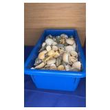 Shell lot