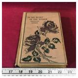 In The Heart Of The Storm Antique Novel In The Heart Of The Storm Antique Novel
