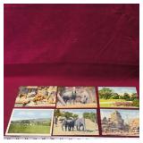 Lot Of 6 Assorted Postcards (Vintage)
