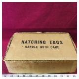 Hatching Eggs Cardboard Box (Vintage)