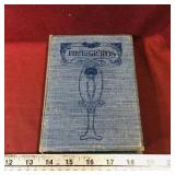 Photographs Album Book (Antique) (Empty)