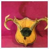 Wall Mount 6-Point Buck Antlers (Antique)