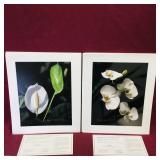 Set Of Canvas Art Prints & Certificates