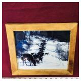 Framed Photo Print (10" x 12")