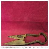 Sheep Shears (Antique) (11 1/2" Long)