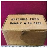Hatching Eggs Cardboard Box (Vintage)