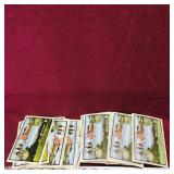 Large Lot Of New Brunswick Postcards (Vintage)