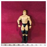 2010 WWE Wrestling Figure (7" Tall)