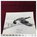 Canada Goose Art Sketch Picture (Vintage)