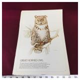 Great Horned Owl Art Print (Vintage)