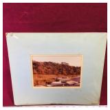 1980 P.Roth Scenery Photograph (11" x 13")