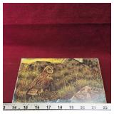 Wildlife Scene Art Print (Vintage) (Sealed)