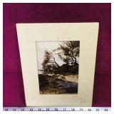 1980 P.Roth Wildlife Scenery Photograph