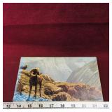 Wildlife Scene Art Print (Vintage) (Sealed)