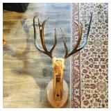 Large Wall Mount Elk Antlers (Antique)