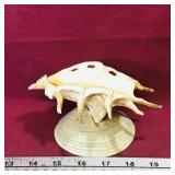 Seashell Flower Frog (Vintage)