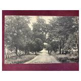 191? Maple Avenue Sussex NB Postcard