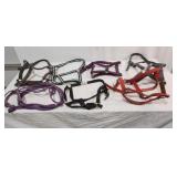 Assorted Halters - Qty 10
