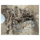1.5 Coil Spring-Qty 8, #1 Victor - Qty 2, 1.5 Long
