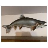 Mounted 32ï¿½ Lake Trout