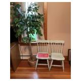 Wooden Chair - Qty 2, Artificial Plant