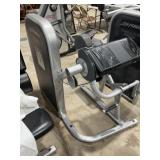 Life Fitness Bicep Curl Weight Machine