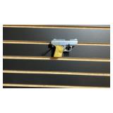 Raven Arms Model MP25