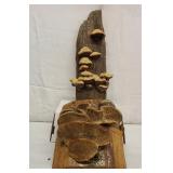 Mushroom / Fungus Wall Art