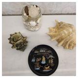 Seashell Lot