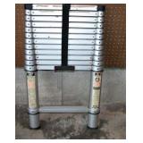 Telescoping Extension Ladder Type 2