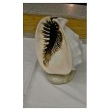 Sea Shell