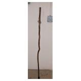 Great Smoky Mt. Walking Stick