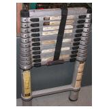 Telescoping Ladder