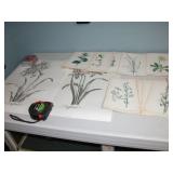 Vintage Plant Prints Lot
