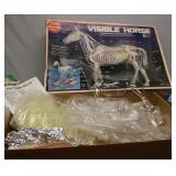 Skilcraft Visible Horse anatomically accurate Kit