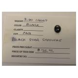 Black Star Sapphire 3.60TCW Stone