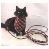 Lasso (works) Lasso (works)