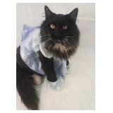 Build-a-Bear Dress (cat not included) Build-a-Bear Dress (cat not included)