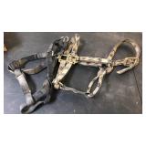 Horse halter and dog harness Horse halter and dog harness