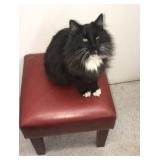 nice red stool nice red stool