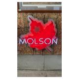 Molson neon sign , switch is bad