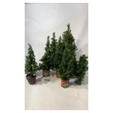 Christmas tree lot used for train track scenery