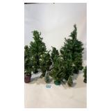 Christmas tree lot used for train tracks scenery