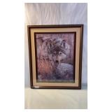 20 x 24 Coyote Print