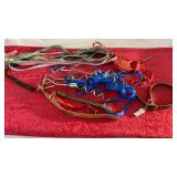 Dog tie outs and leash lot with several collar