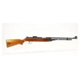 Chinese Pellet Gun .177  SN: D384697