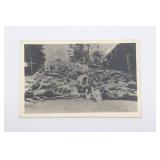 Photo - Bodies Dachau Concentration Camp