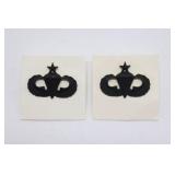 (2) U.S. Army Senior Paratrooper Wings