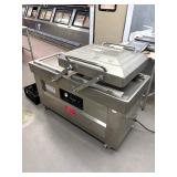 Yifei Dzq-600 Double-chamber Vacuum Pack Machine